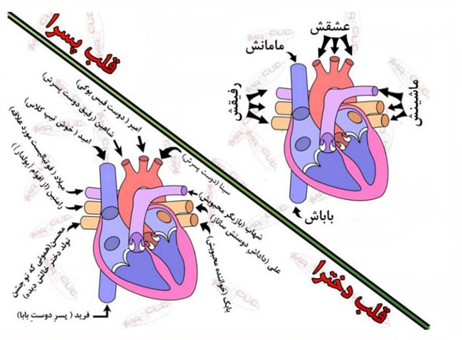 تعاونی افراچوب بوکان