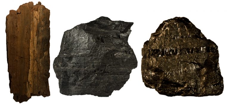 انواع مختلف زغال سنگ